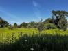 1.5 Acres McManis Road Mount Vernon Home Listings - RE/MAX Stars Realty 