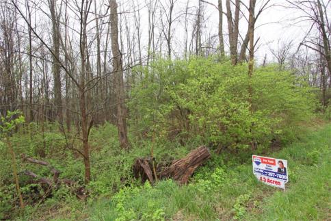 15.6 Acres New Delaware Road Mount Vernon Ohio 43050