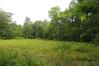 22 Acres on County Road 172 Mount Vernon Home Listings - RE/MAX Stars Realty 