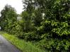 2.382 Acres Lower Fred-Amity Road Mount Vernon Home Listings - RE/MAX Stars Realty 