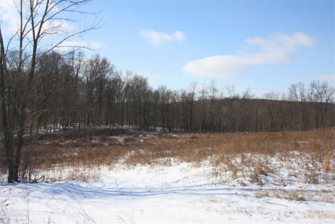 25 Acres O&amp;#39;Brien Road Mount Vernon Ohio 43050