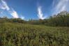 38 Acres County Road 402 Mount Vernon Home Listings - RE/MAX Stars Realty 