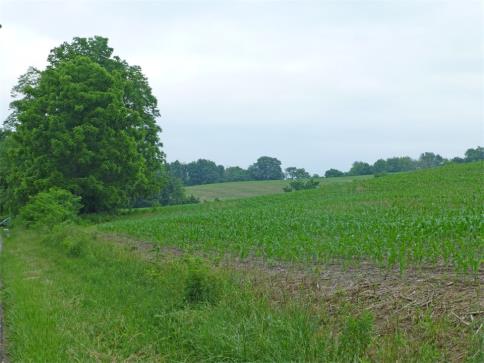 39.848 Acres Snively Road Danville Ohio 43014