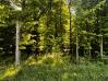 4.344 Acres on Feasel Road Mount Vernon Home Listings - RE/MAX Stars Realty 