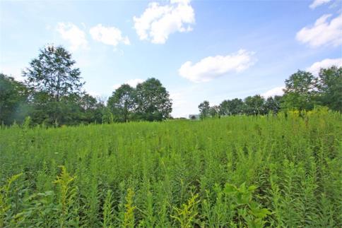 5.26 acres McVay Road Fredericktown Ohio 43019