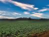 75.986 Acres Twp Road 114 Mount Vernon Home Listings - RE/MAX Stars Realty 