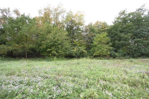 83.955 Acres New Delaware Road Mount Vernon Ohio 43050