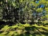 Lot 136 Grand Valley View Mount Vernon Home Listings - RE/MAX Stars Realty 