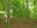 Lot 174 Apple Valley Subdivision Howard Ohio 43028 at The Apple Valley Lake