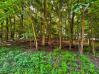 Lot 242 Grand Valley View Mount Vernon Home Listings - RE/MAX Stars Realty 