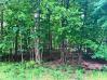 Lot 245 Green Valley Mount Vernon Home Listings - RE/MAX Stars Realty 