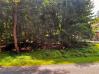 Lot 285 Lakeview Heights Mount Vernon Home Listings - RE/MAX Stars Realty 